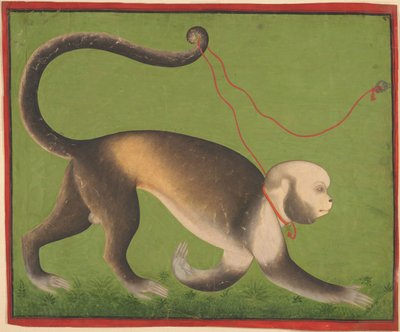 A Monumental Portrait of a Monkey by Mewar India; Rajasthan